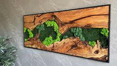 Moss and Wood Wall Art, Natural Wood & Moss Wall Decor for Home, Rustic Greenery Decor