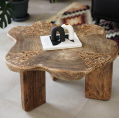 Natural Wood Side Table & Plant Stand